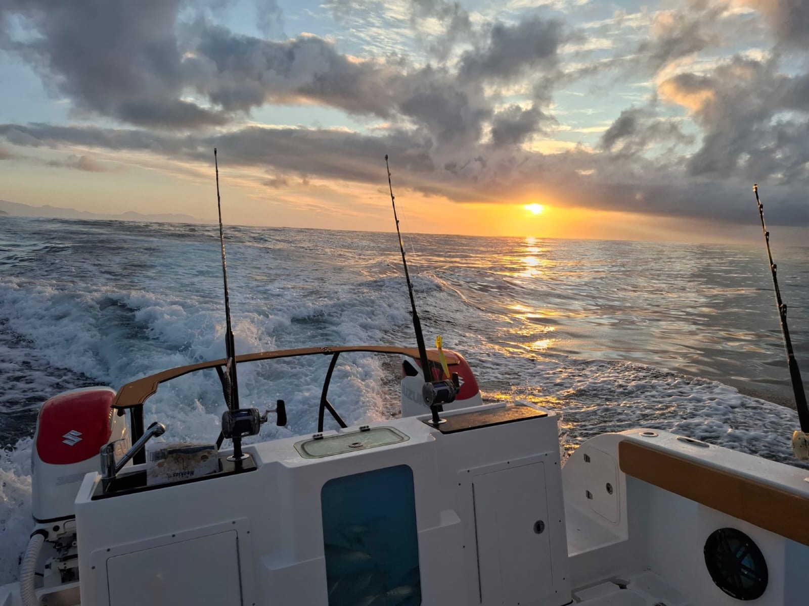 Invicta 30 OC Feature Detail 1